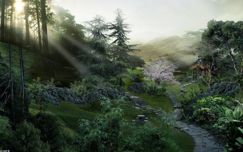 serene forest garden path