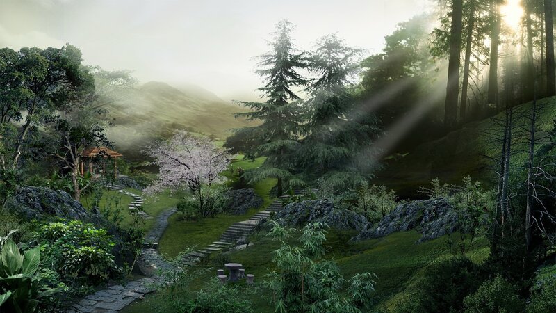Serene forest garden with stone path