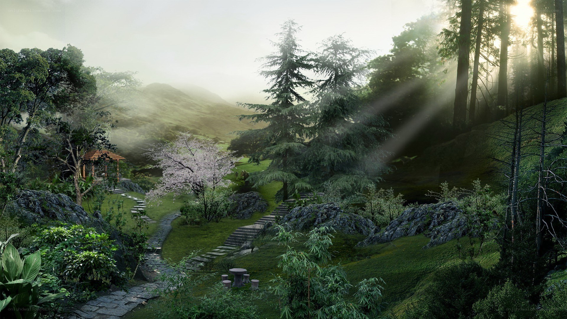 Serene forest garden with stone path