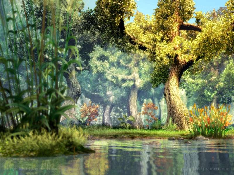 serene forest pond scene