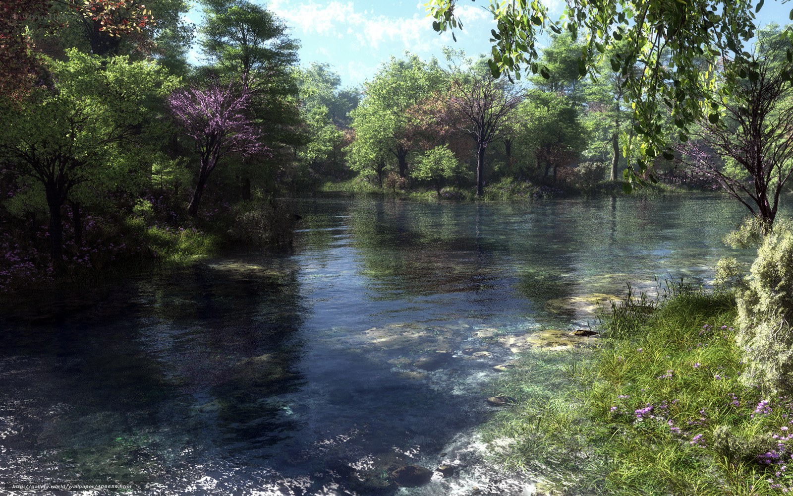 Serene forest pond scene