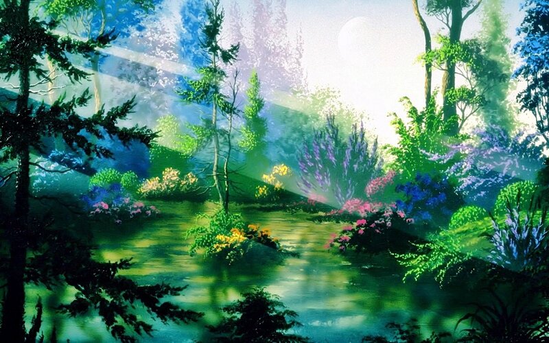 serene forest with glowing light
