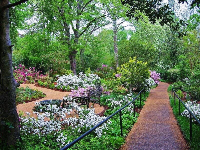 serene garden path with flowers