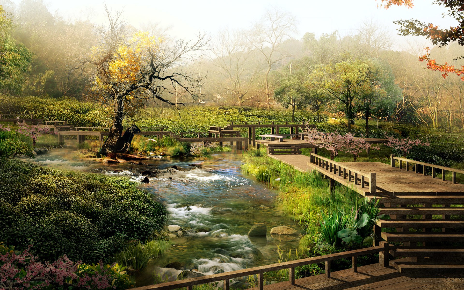 Serene garden stream landscape