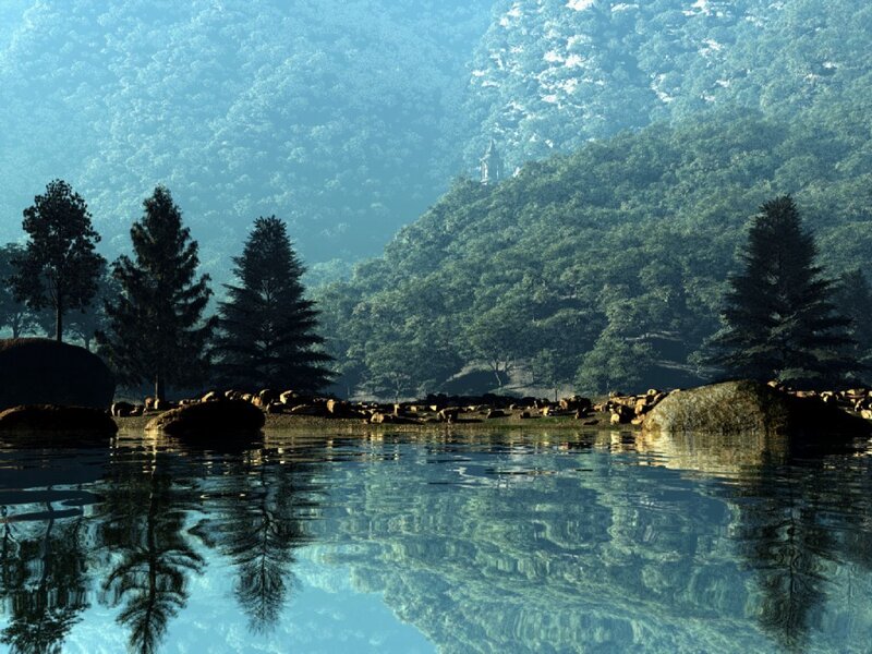 serene lake in forested mountains