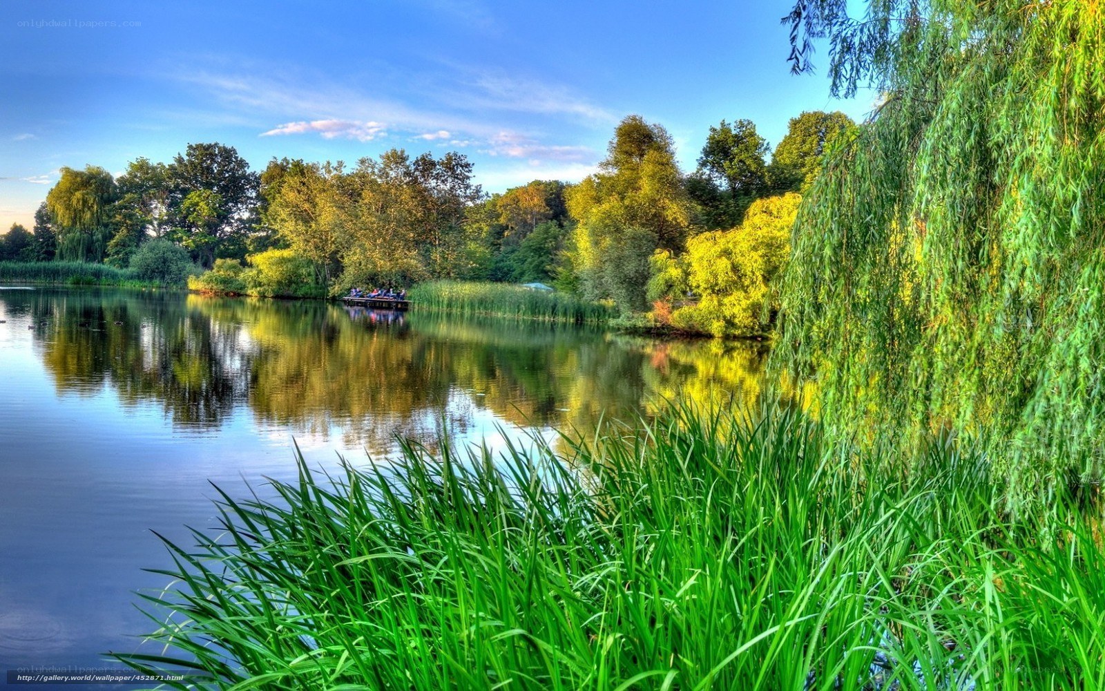 Serene lake with weeping willow