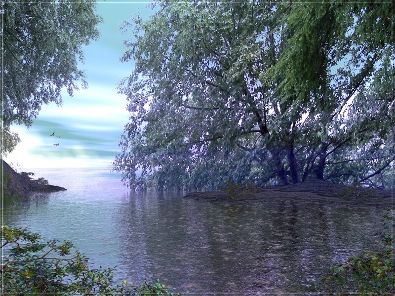 Serene lakeside forest scene