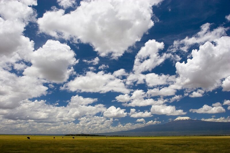 Serengeti plains with Mount Kilimanjaro