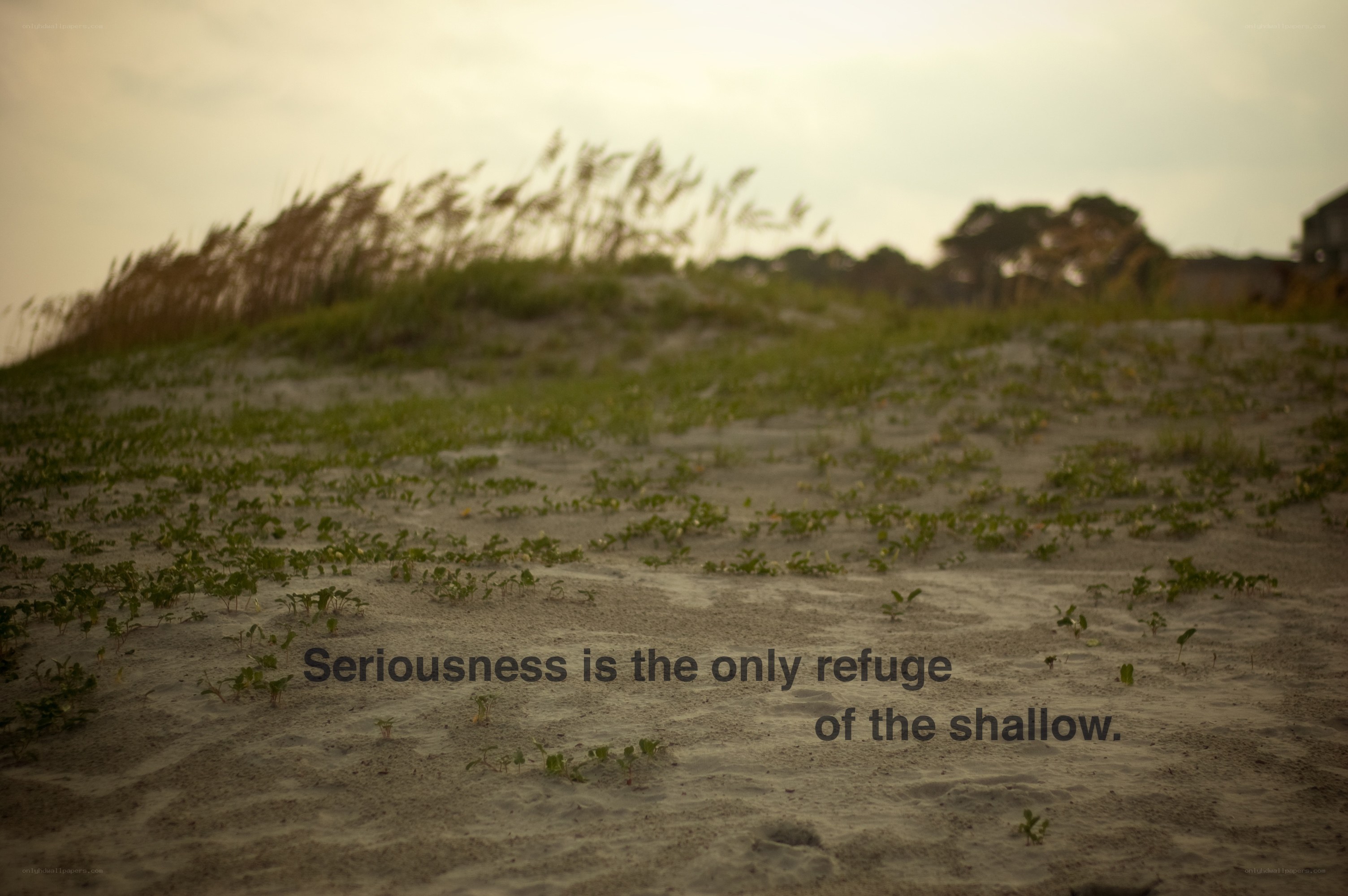 Seriousness quote on beach
