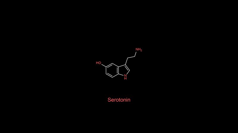 Serotonin Molecule
