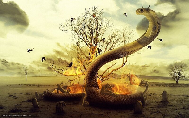 Serpent and burning tree