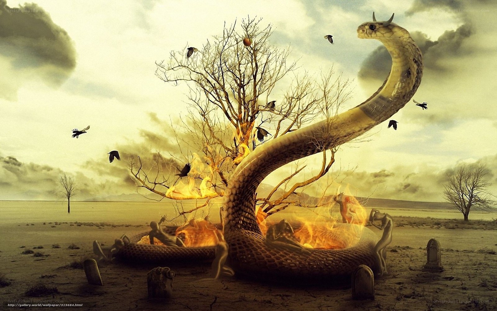 Serpent and burning tree