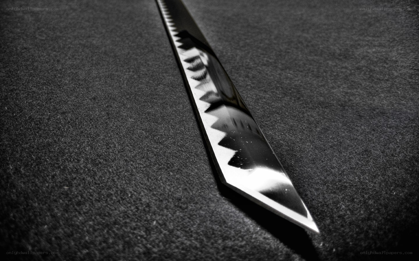 serrated knife blade
