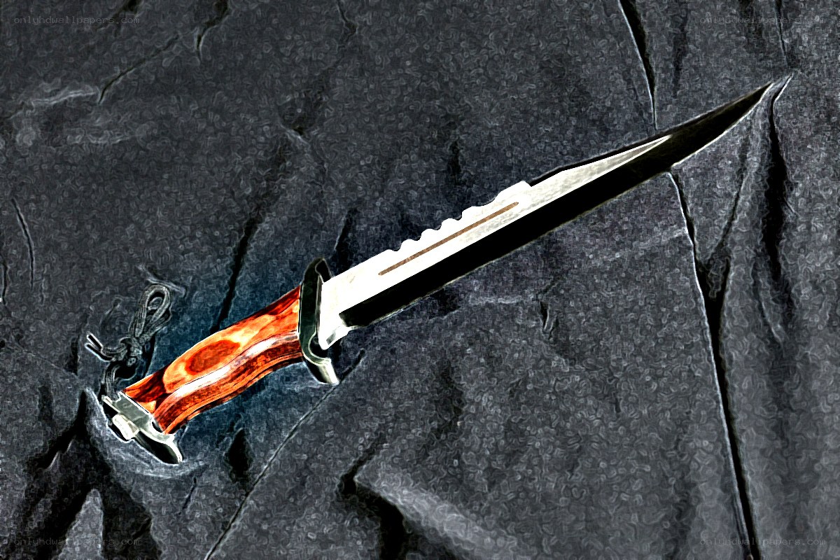 serrated knife with wooden handle