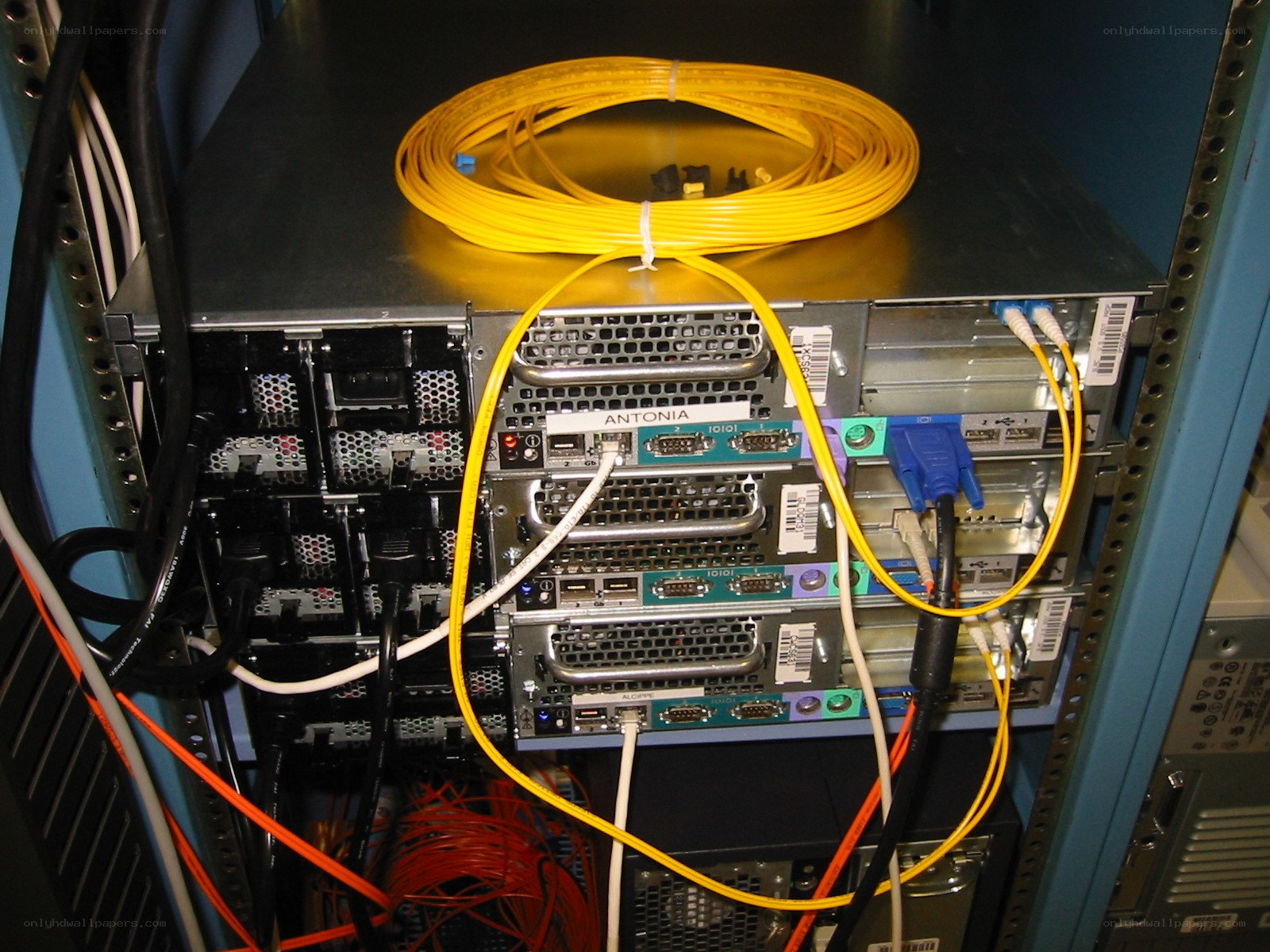 server rack with network cables