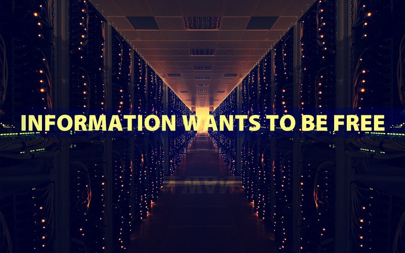 Server Racks in Data Center — Black, Dramatic