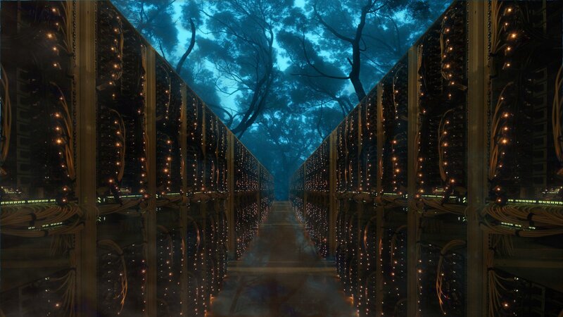 Server Racks in Forest