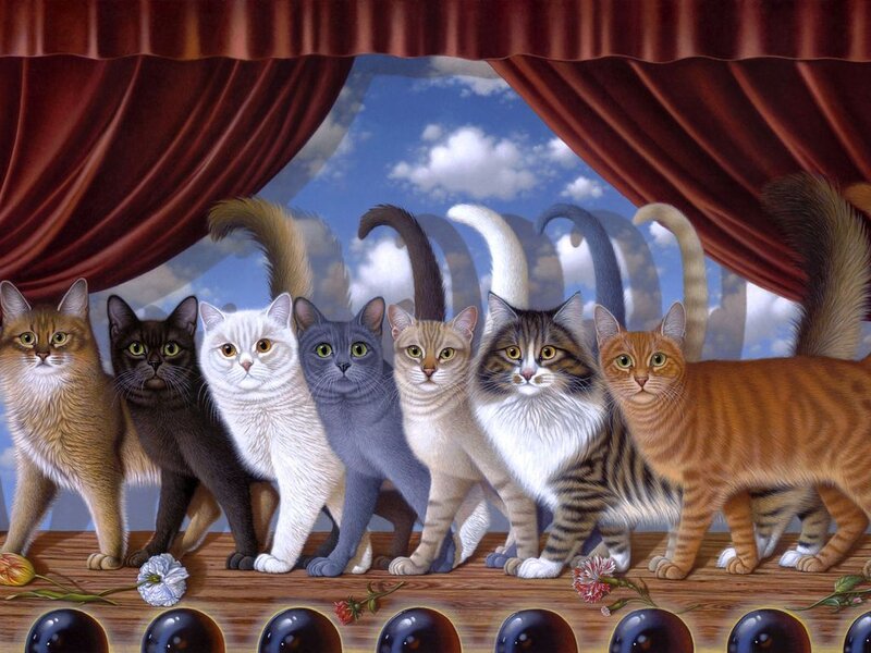 Seven Cats on Stage