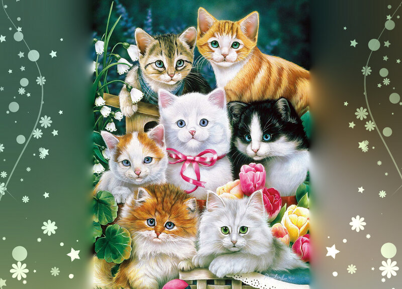Seven Kittens in Basket — White