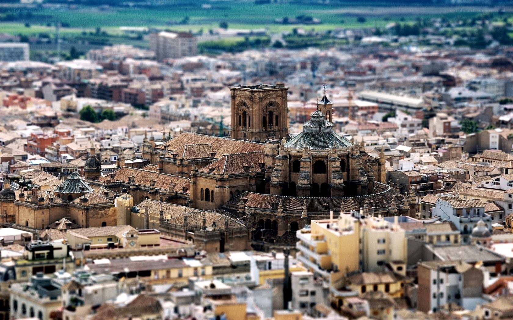 Seville Cathedral from above