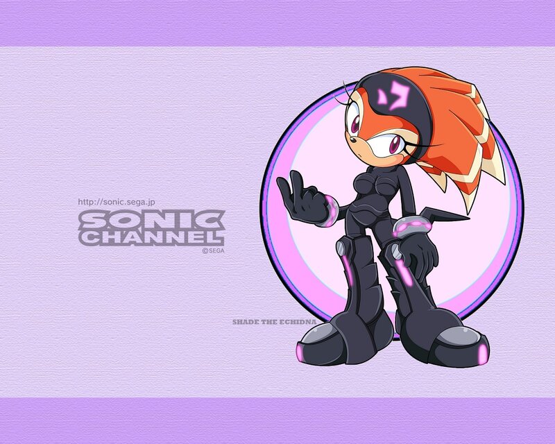 Shade the Echidna