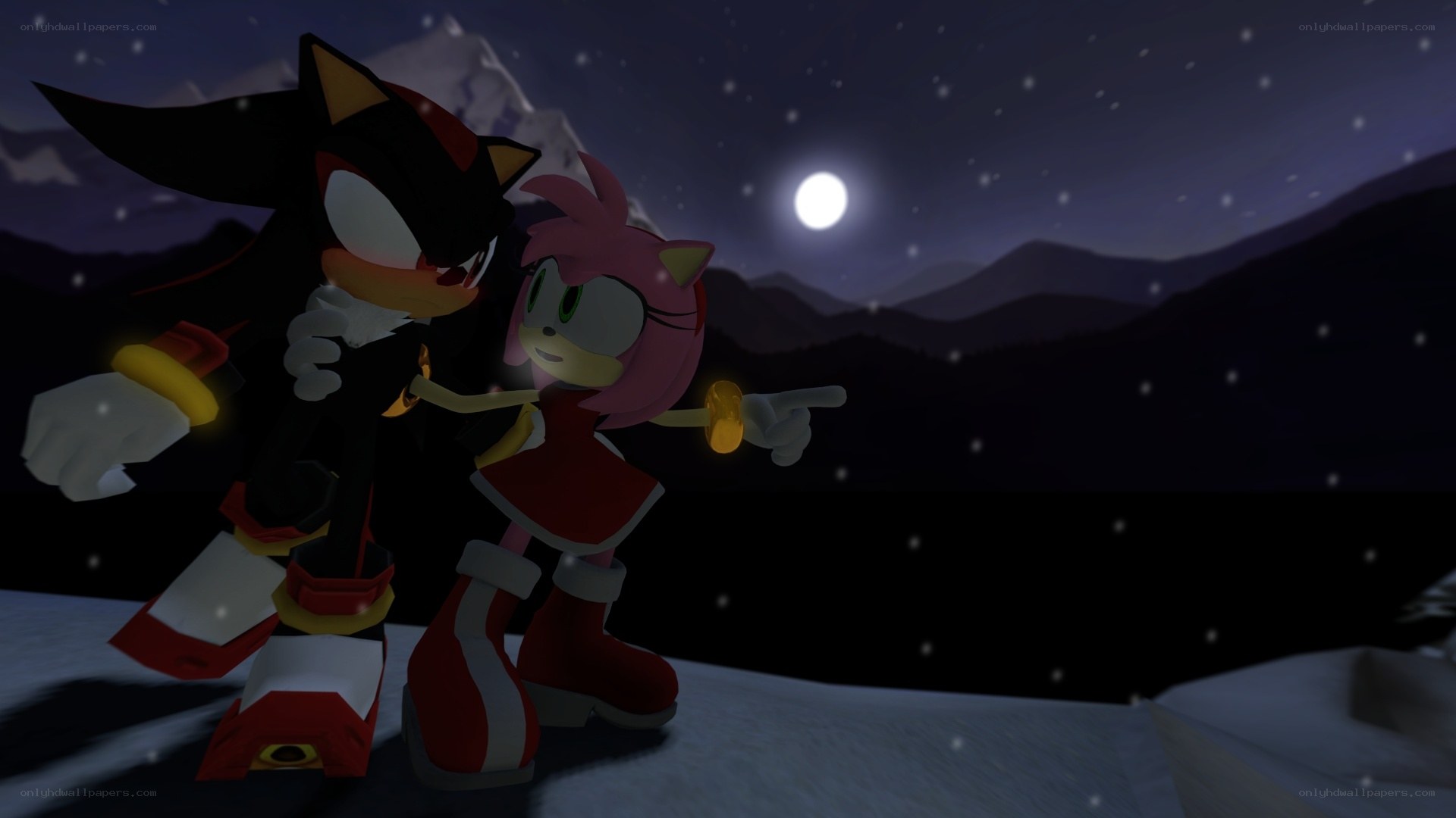 Shadow and Amy on a snowy night