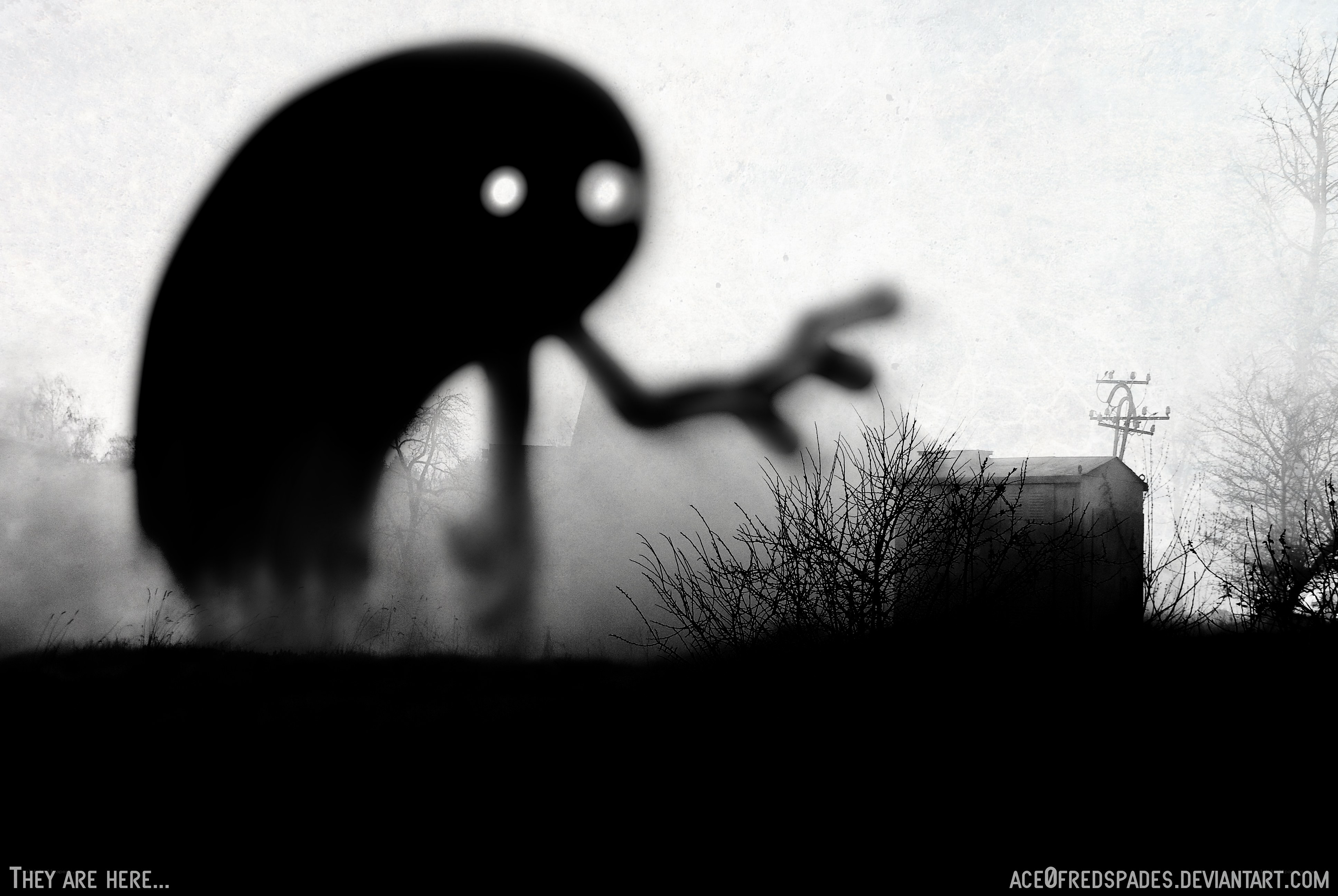 Shadow creature in fog
