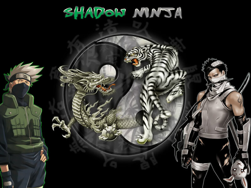 Shadow Ninja Artwork