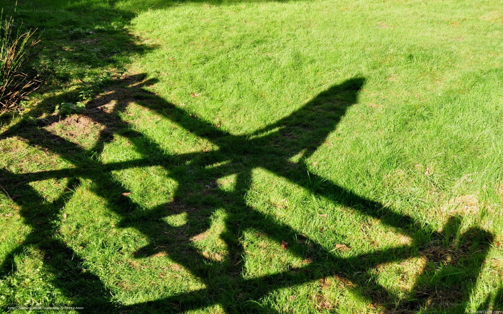 Shadow of a bench on grass