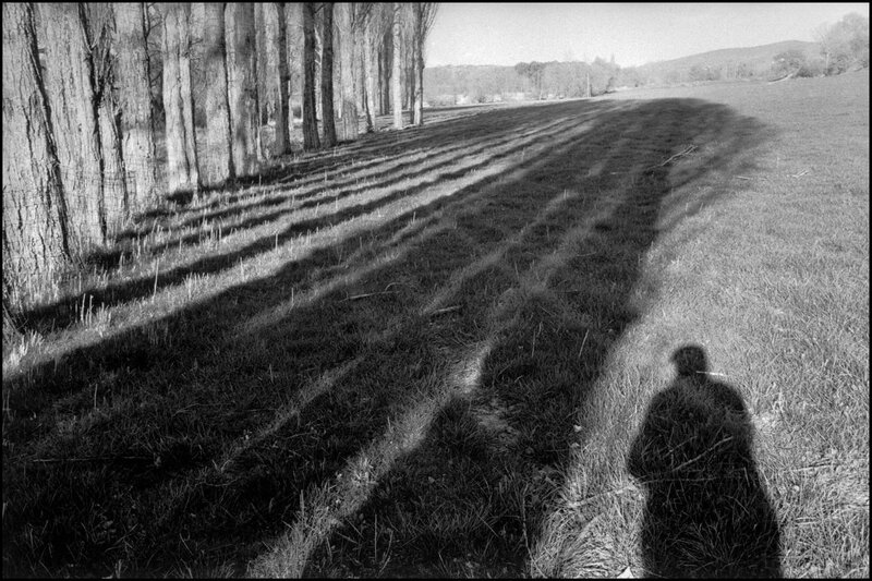 Shadow of a person in a field