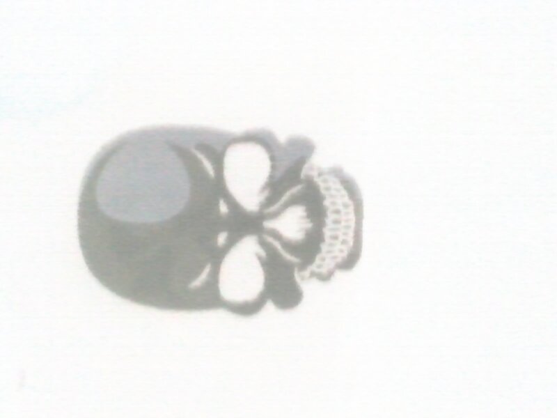 Shadow of a Skull