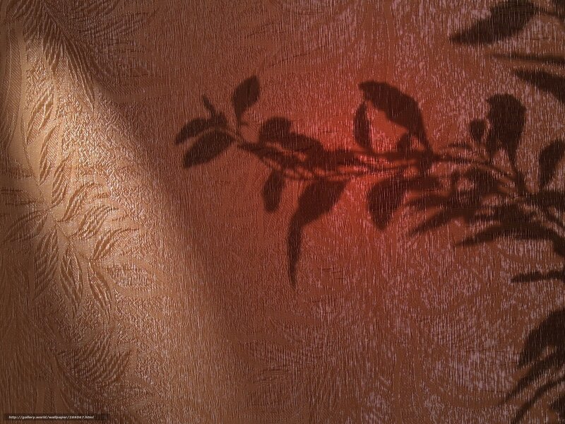 Shadow of leaves on fabric