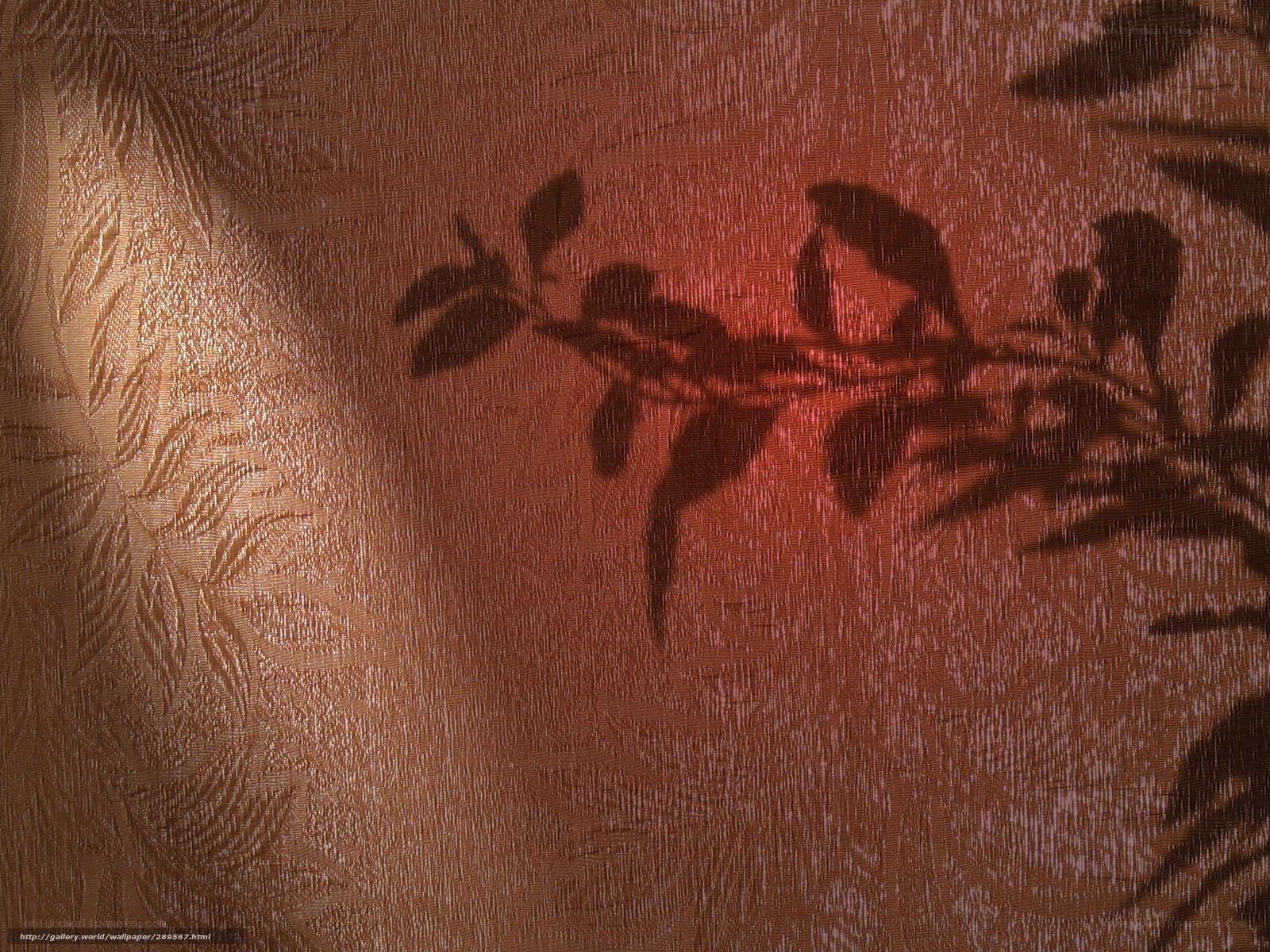 Shadow of leaves on fabric