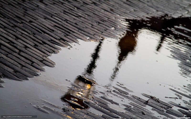 Shadow of Person in Puddle