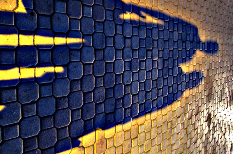 Shadow of Person on Wall