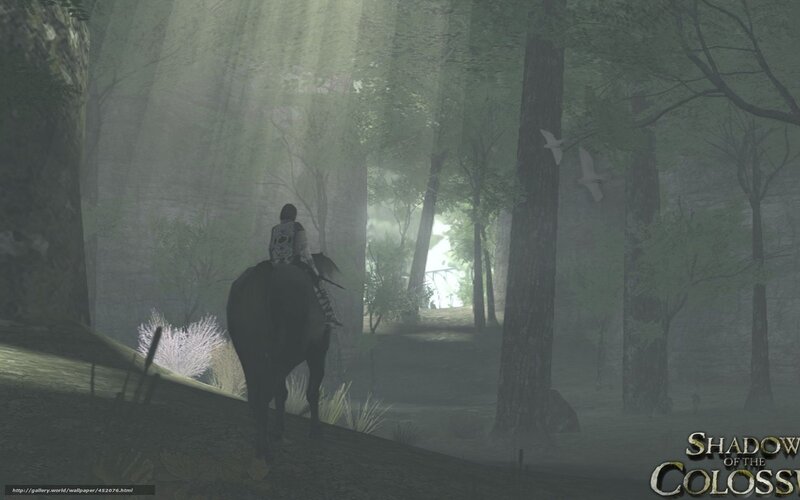 Shadow of the Colossus forest scene