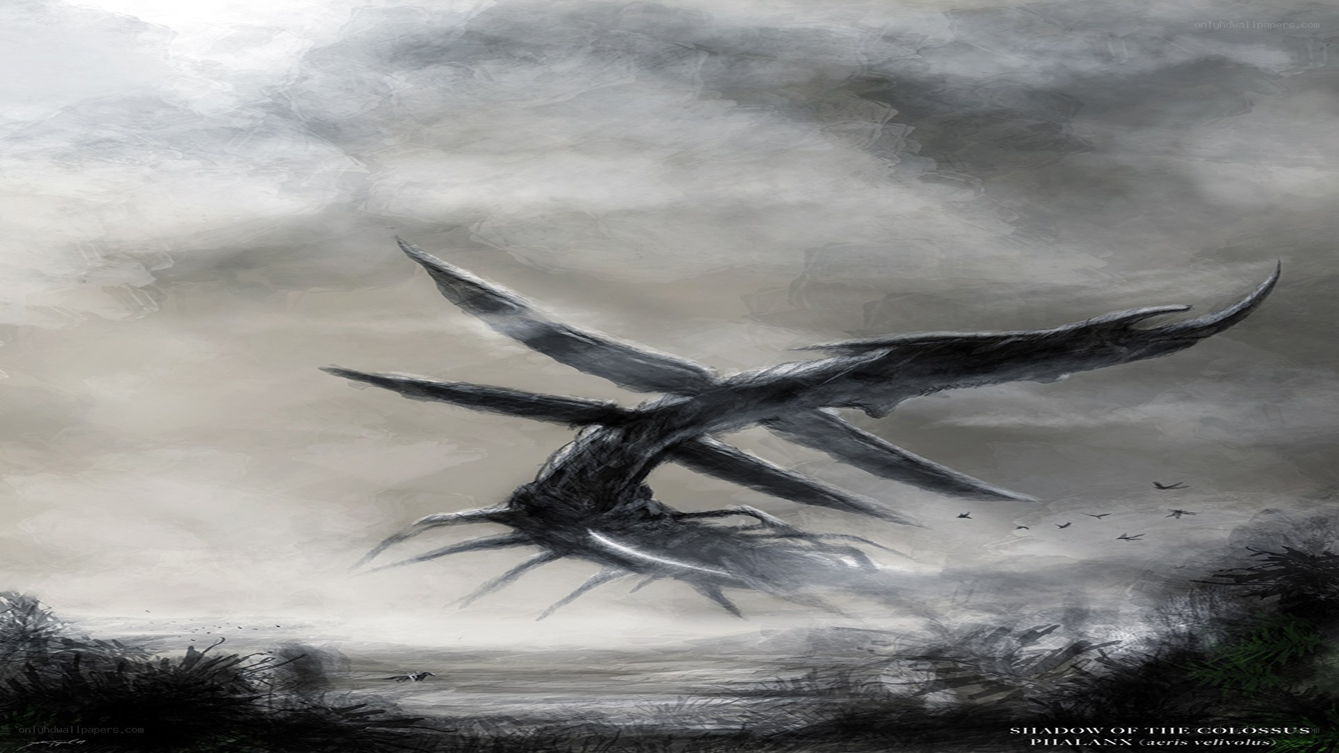 Shadow of the Colossus Phalanx