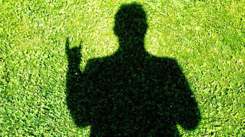 shadow on green grass