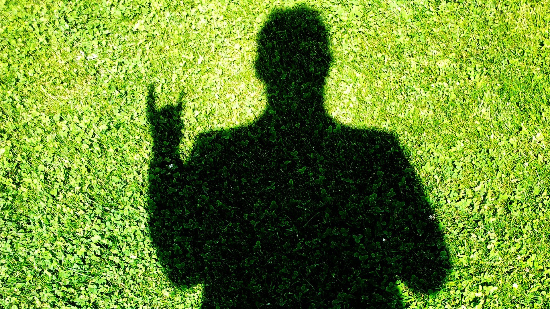 shadow on green grass