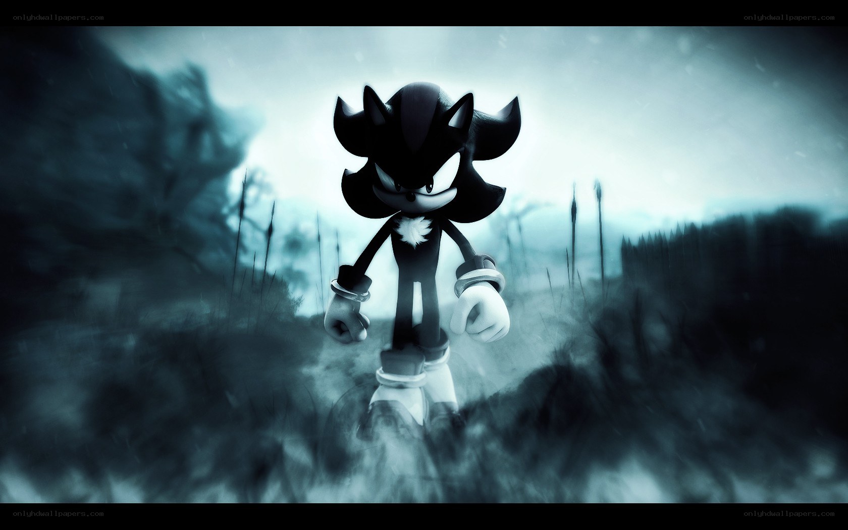 Shadow Sonic in a misty forest