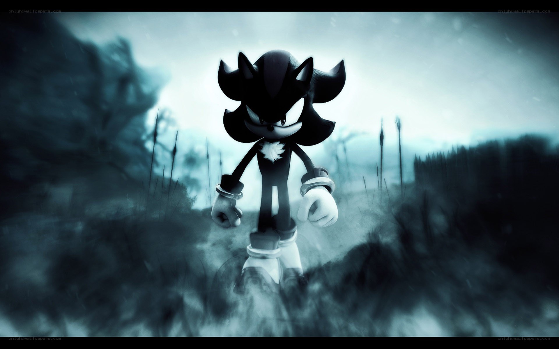 Shadow Sonic in a misty landscape