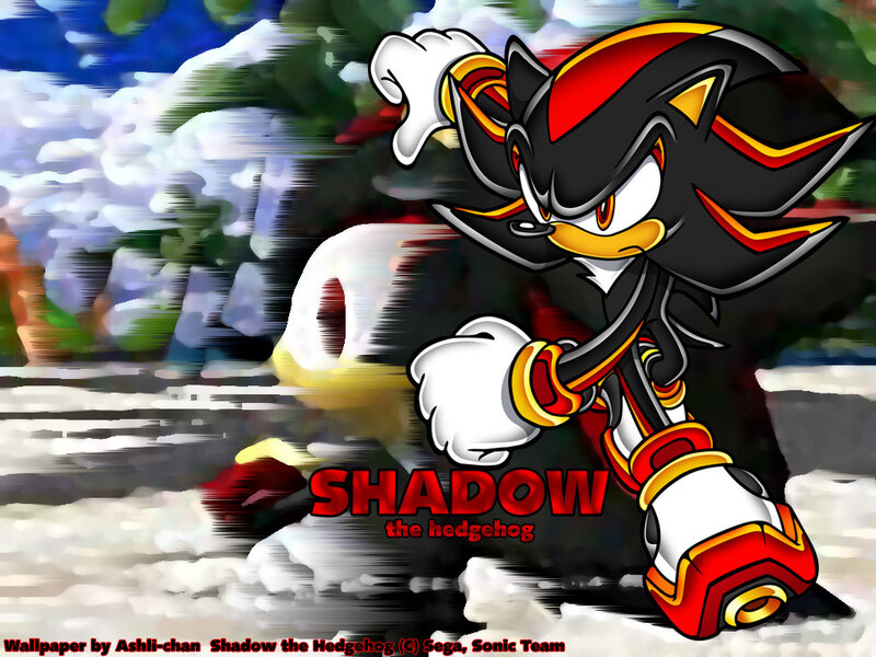 Shadow the Hedgehog — Black, Dynamic