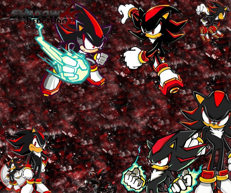 Shadow the Hedgehog — Black