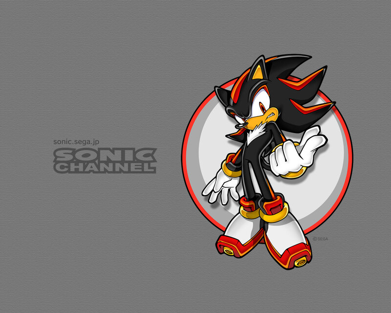 Shadow the Hedgehog character