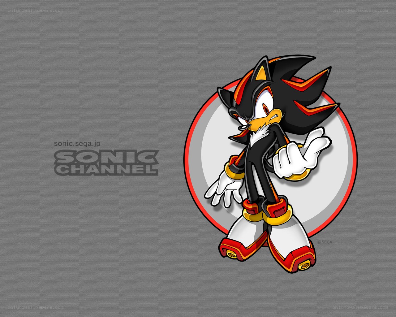 Shadow the Hedgehog character