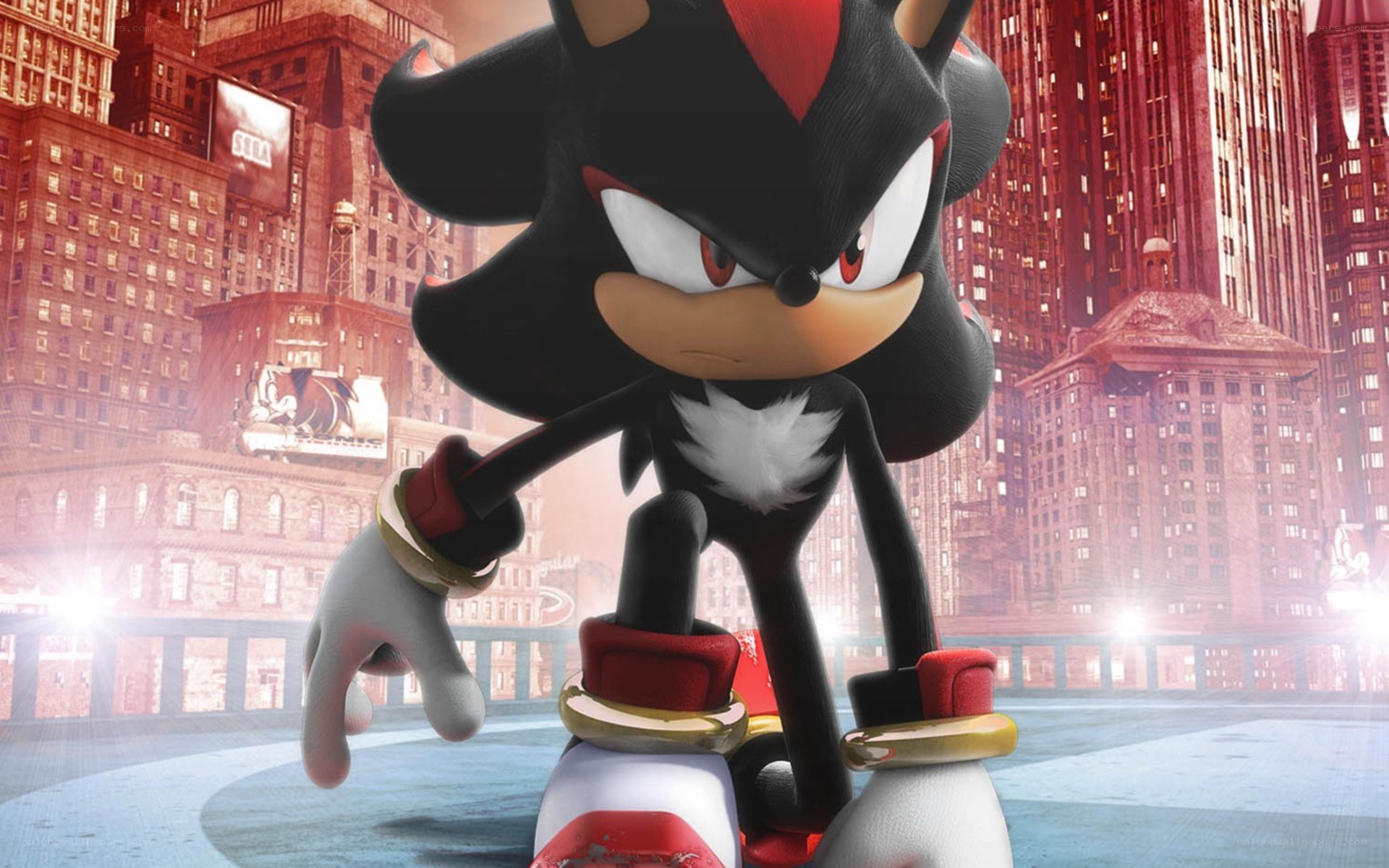 Shadow the Hedgehog in a city