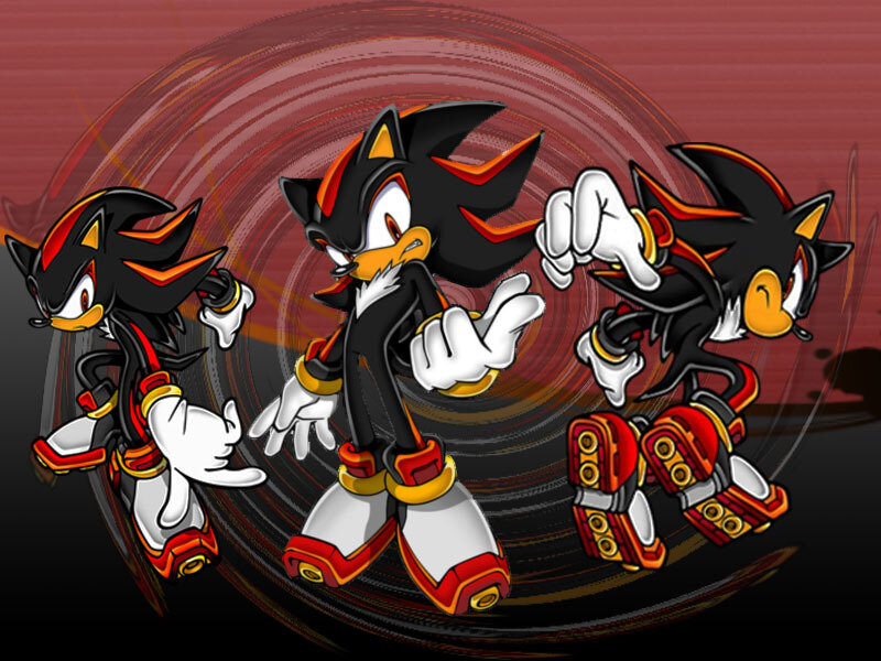 Shadow the Hedgehog in action