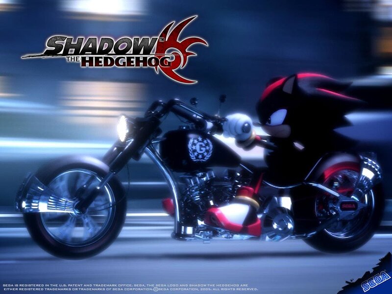 Shadow the Hedgehog on Motorcycle