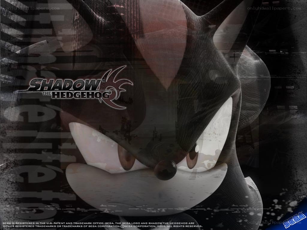 Shadow the Hedgehog promotional art