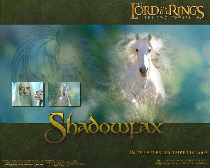 Shadowfax from Lord of the Rings